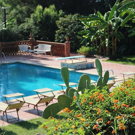 أكيتْريتْسا Villa Delle Palme المظهر الخارجي الصورة